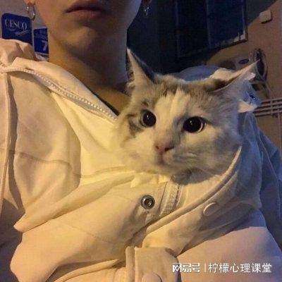 魔法门挂机拇指游戏下载
