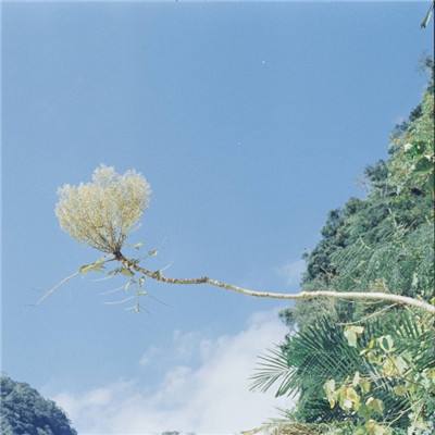 枪弹行动手机版下载